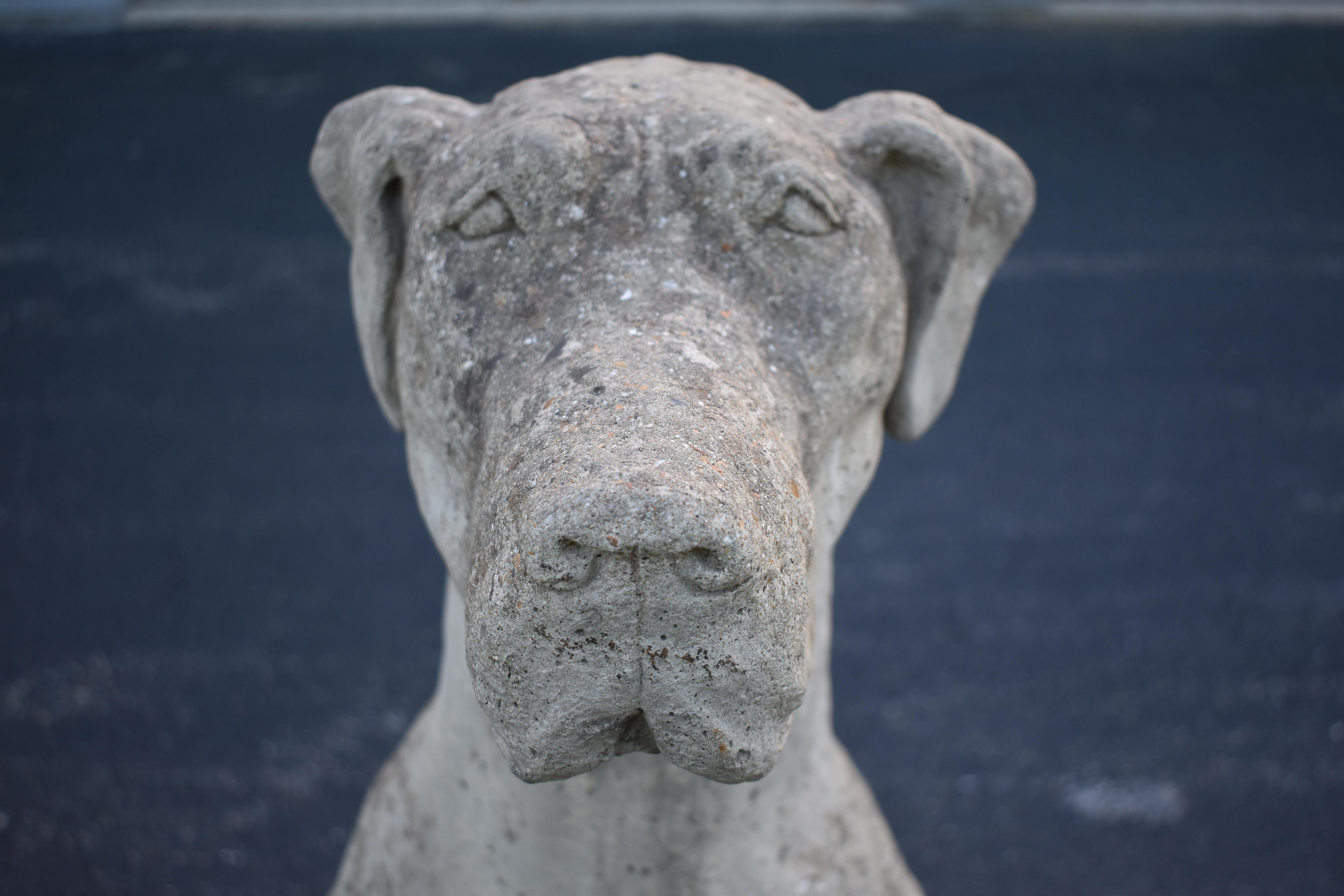 Cast Stone Great Dane Composition Stone Statue by Lucas, English