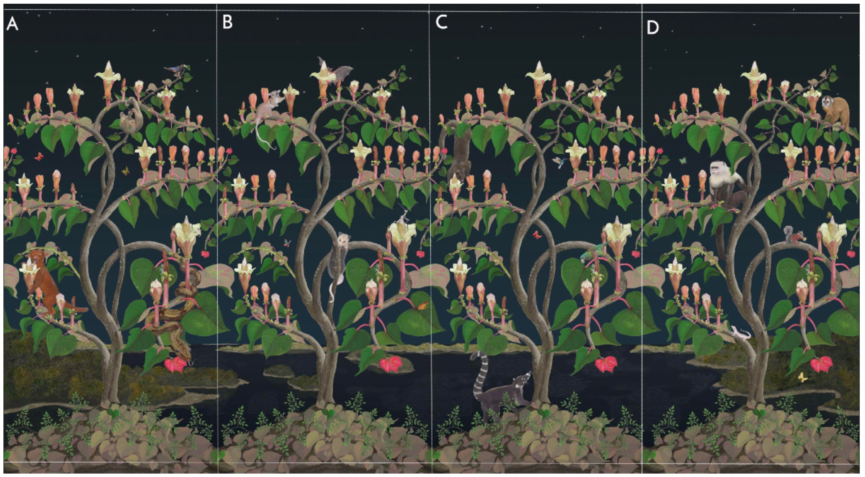 Ochroma Wild Things Midnight Black Wallpaper