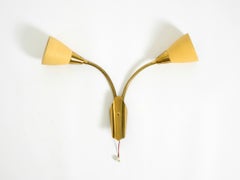 1950s brass wall lamp with a gooseneck and double shade by Cosack Lechten