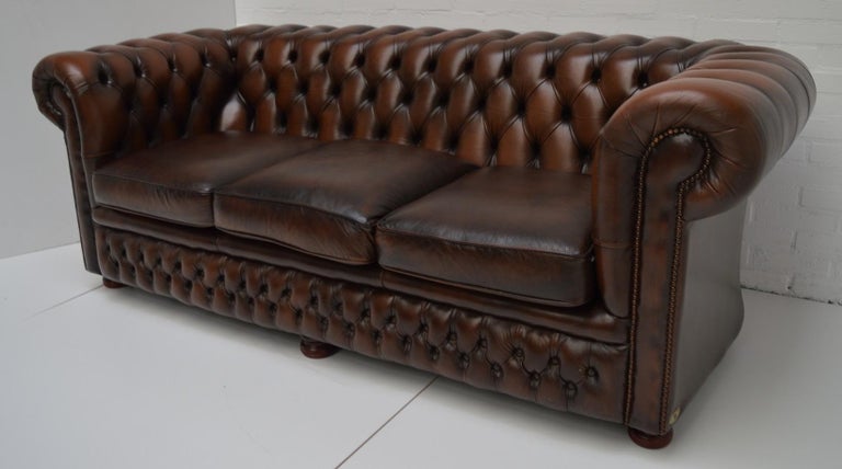 Vintage Chesterfield Sofa Three Seat In Antique Brown Leather At 1stdibs English Vintage Chesterfield Sofa Three Seat In Antique Brown Leather For