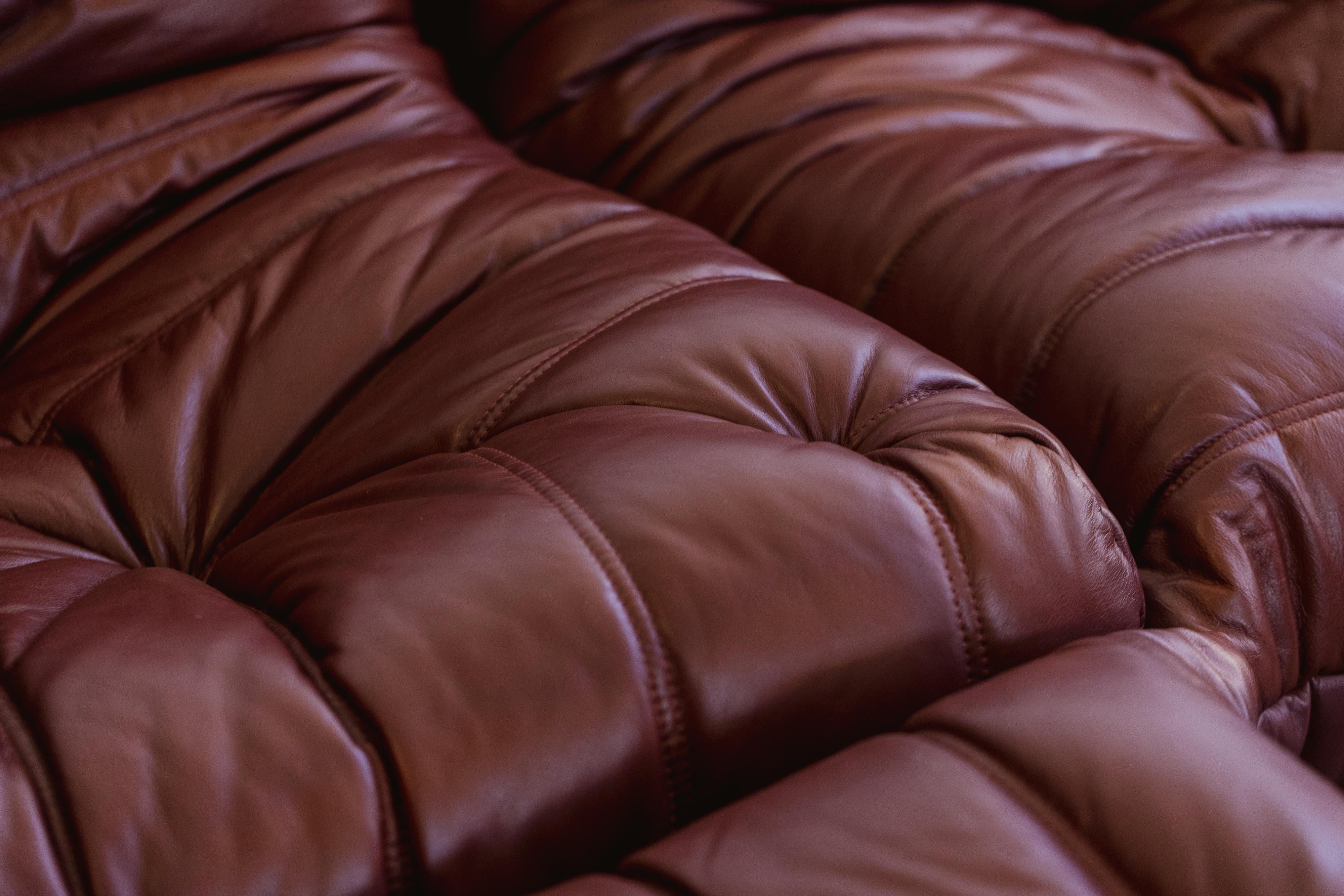 Michel Ducaroy “Togo” Living Room Set for Ligne Roset, Leather, 1973, Set of 2 For Sale 6