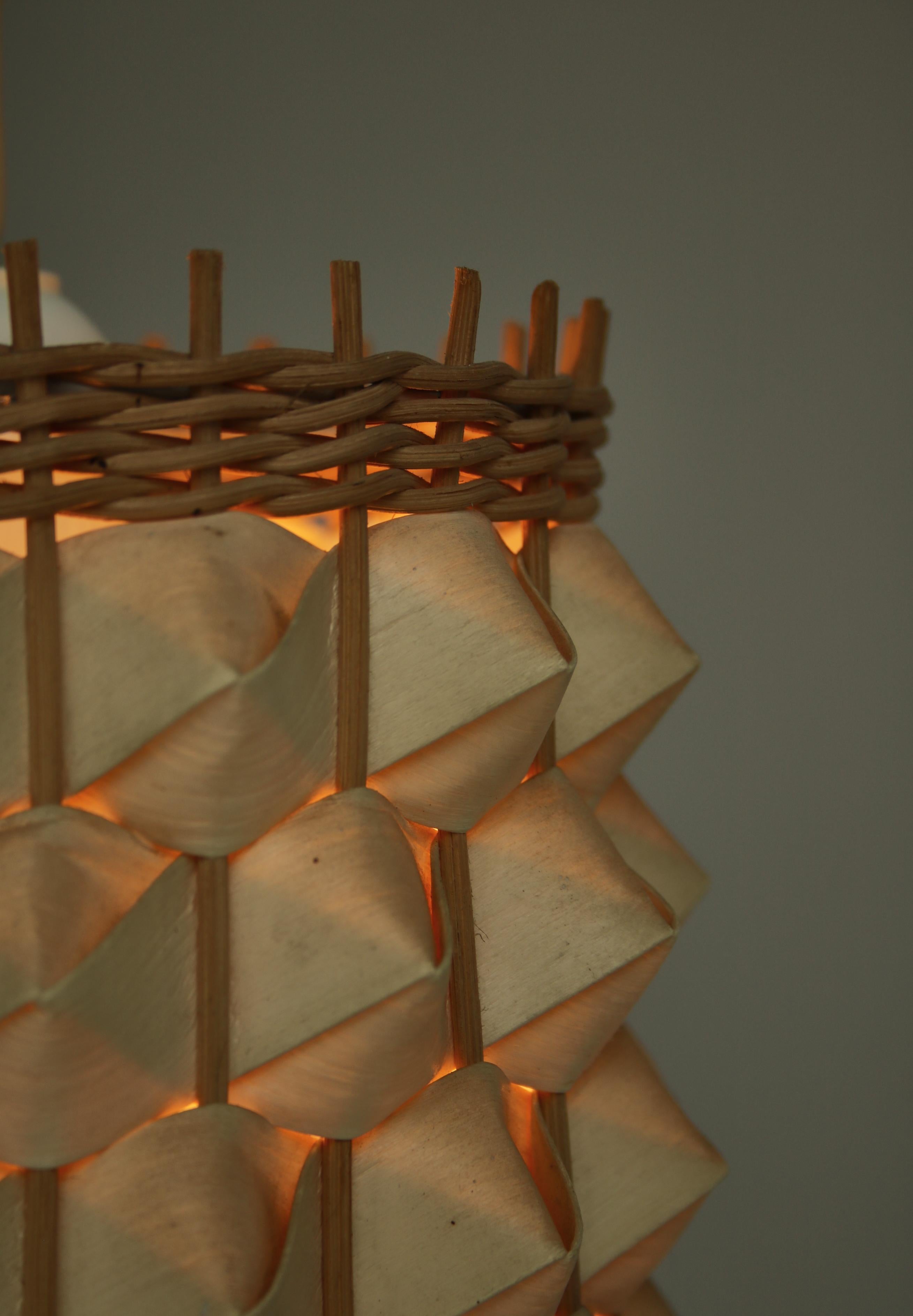 Wooden Pendant Wall Lamp by Louis Poulsen, 1960s Scandinavian Modern 3