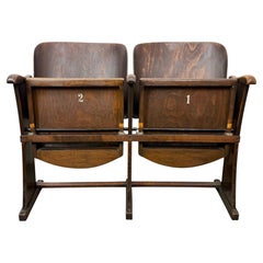 Vintage Two-Seat Cinema Bench from Thonet, 1950s
