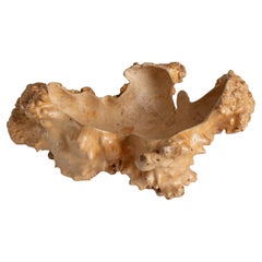 Handgefertigte Schale aus schwedischer Birkenmaser, skandinavisch modern