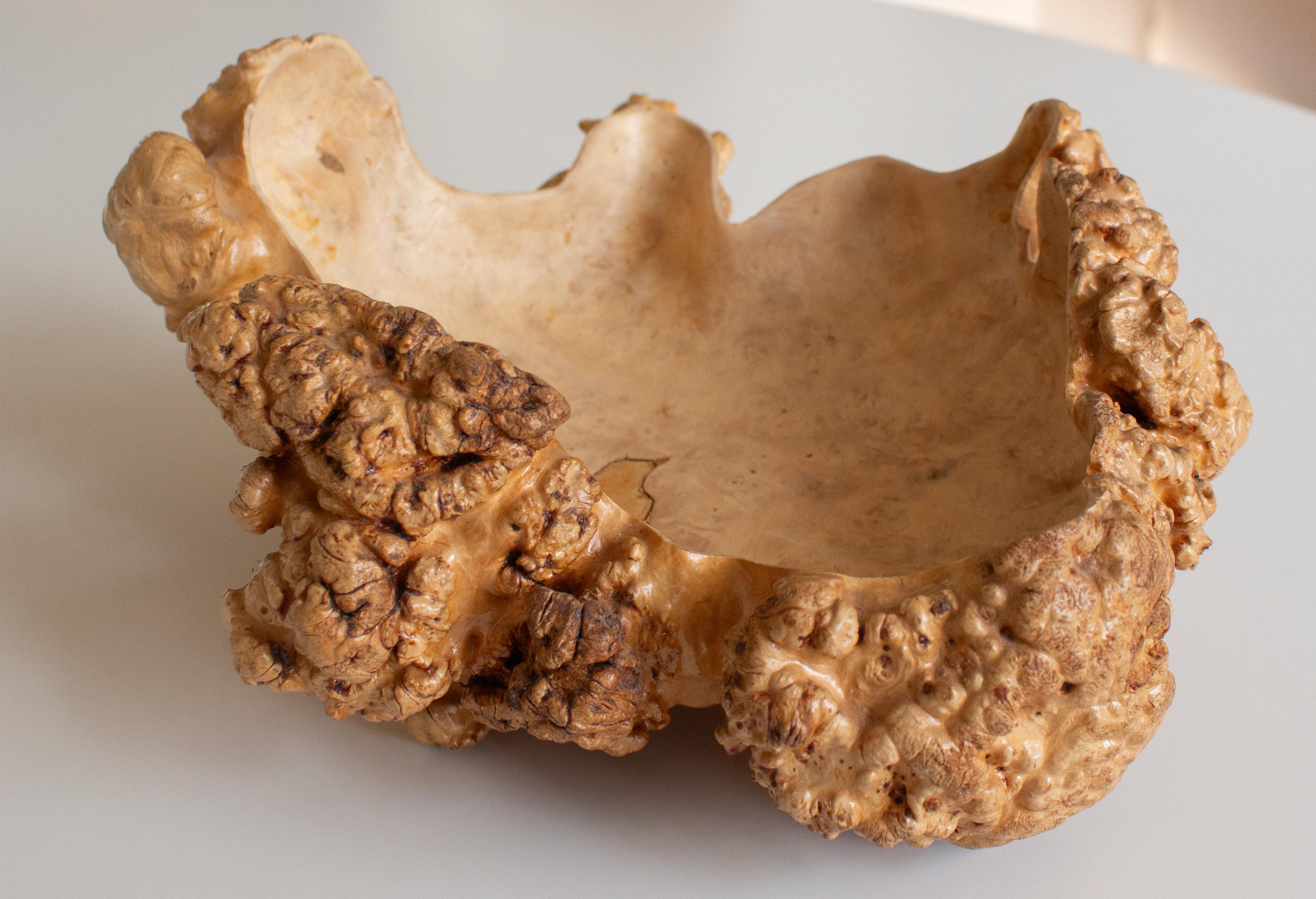 Mid-20th Century Handmade Swedish Birch Burl Bowl, Scandinavian Modern For Sale