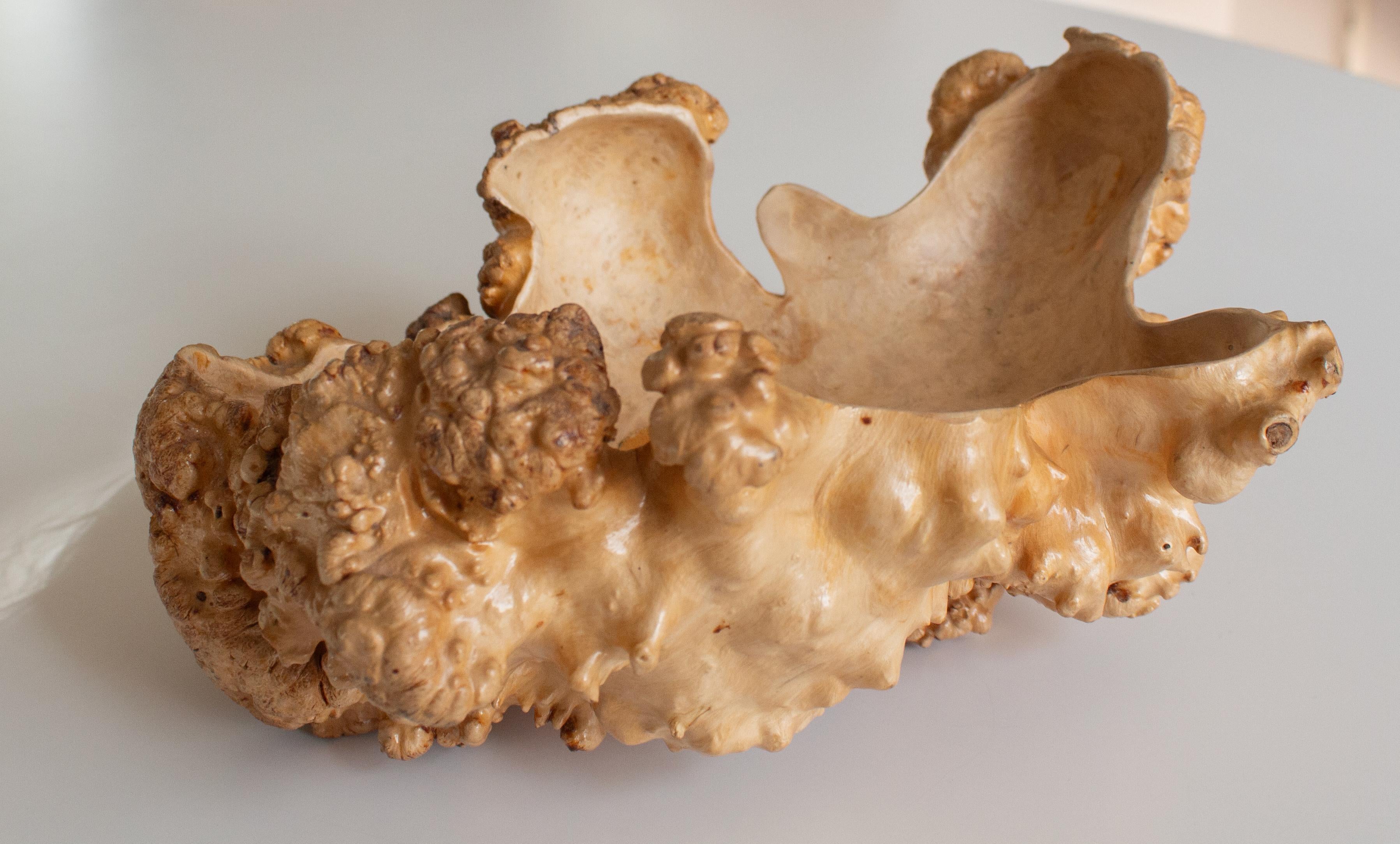 Handmade Swedish Birch Burl Bowl, Scandinavian Modern For Sale 2