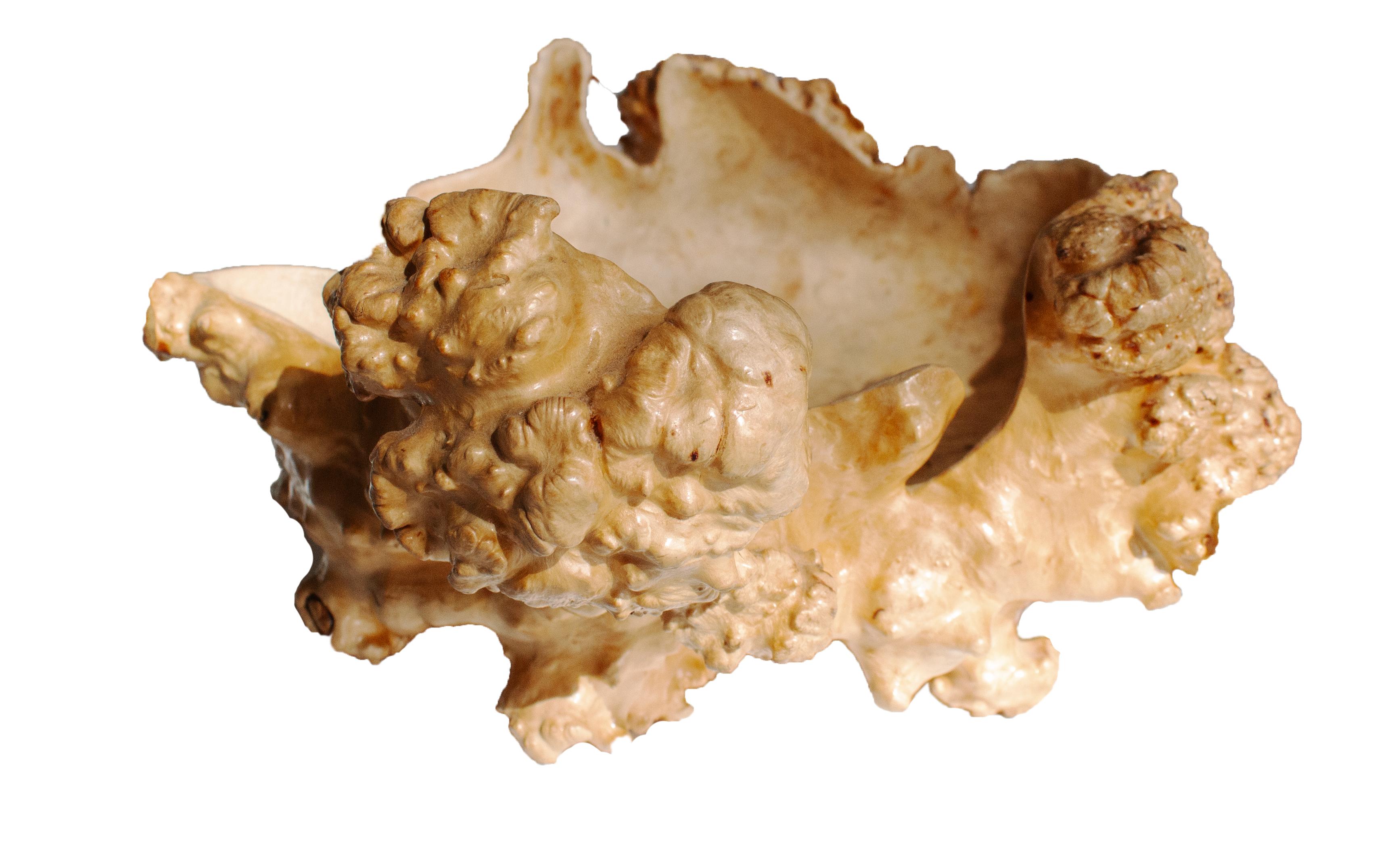 Hand-Carved Handmade Swedish Birch Burl Bowl, Scandinavian Modern For Sale