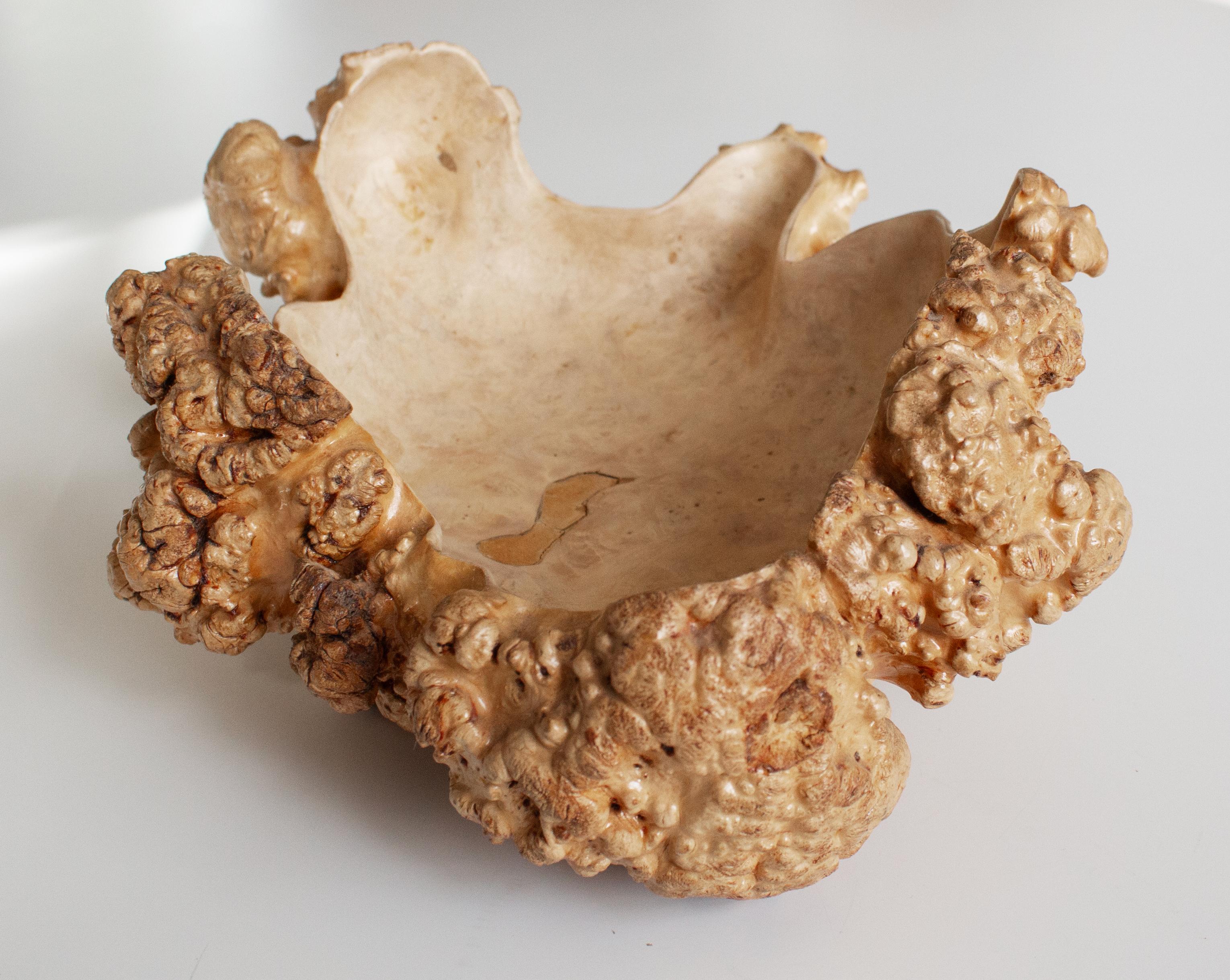 Handmade Swedish Birch Burl Bowl, Scandinavian Modern For Sale 6