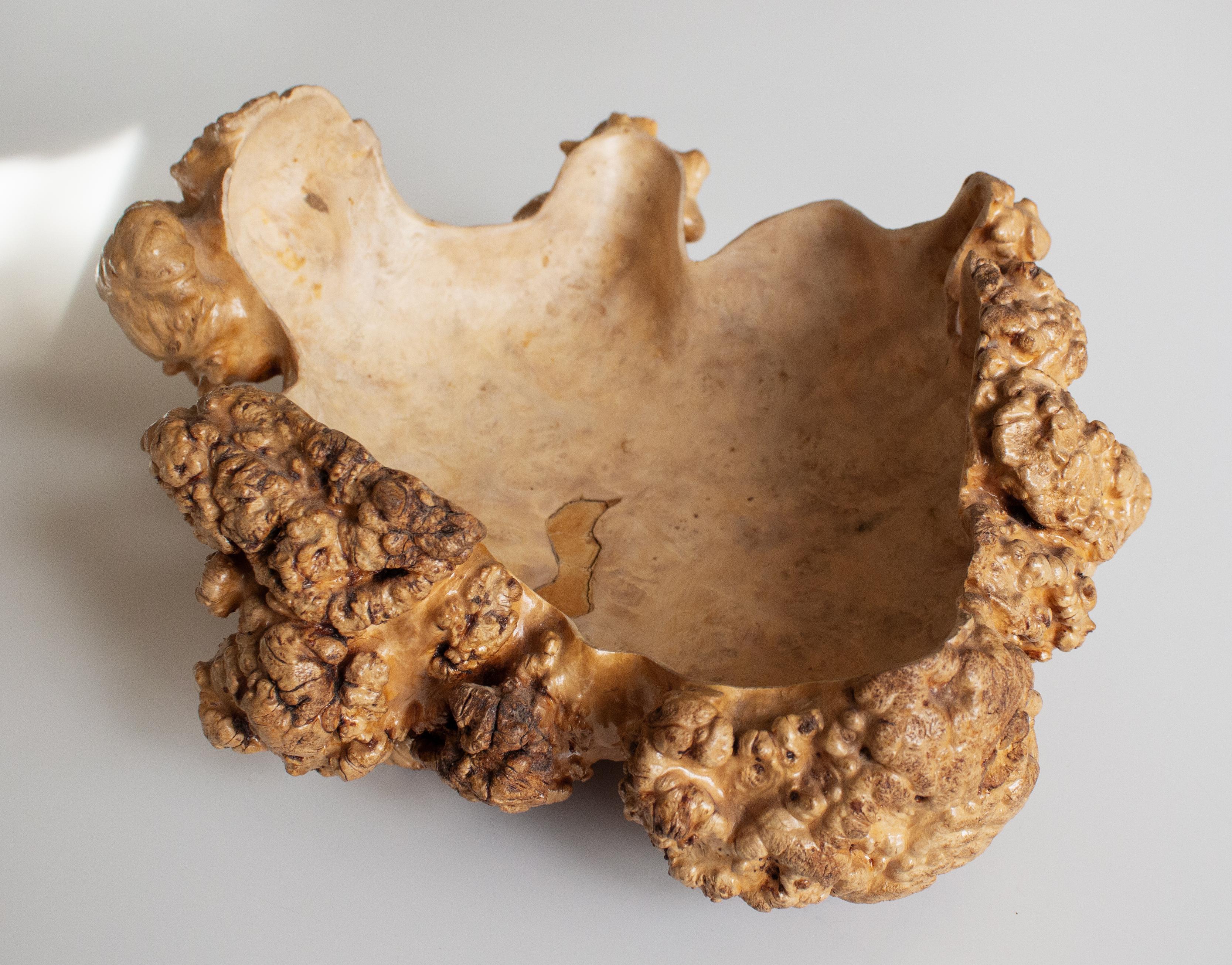Handmade Swedish Birch Burl Bowl, Scandinavian Modern For Sale 5