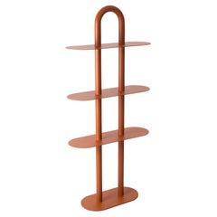 Shelf Curva