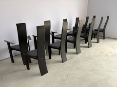 Set of 12 Iris chairs by Rob and Dries Van Den berghe for Van Den Berghe Pauvers