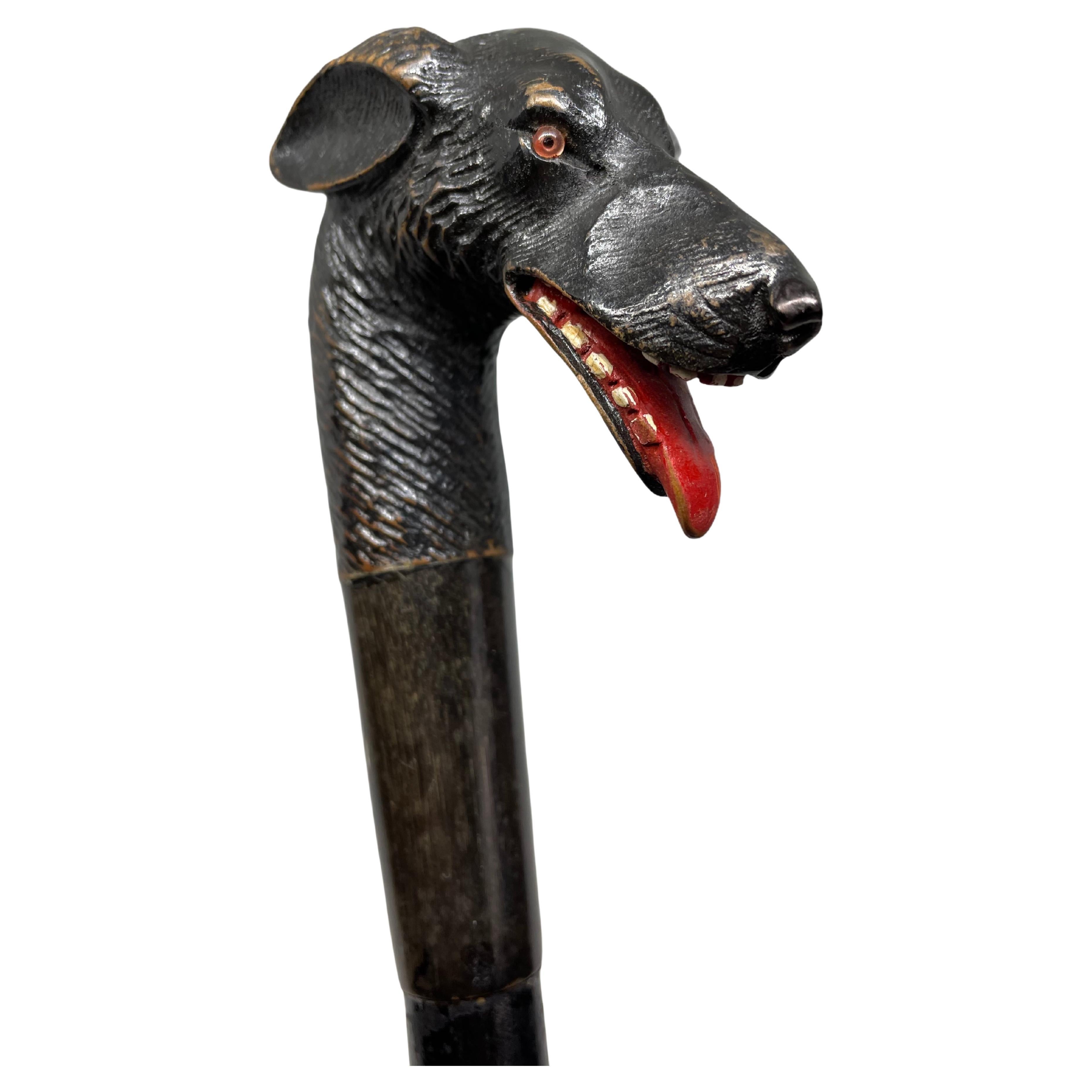 Dog Handle Brienz Black Forest Wood Carved Umbrella Cane Austria Antique, 1910s