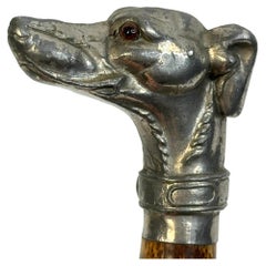 Antiker Whippet Greyhound Kopf Hund Spazierstock Stock, 1890er Jahre, Österreich Wien