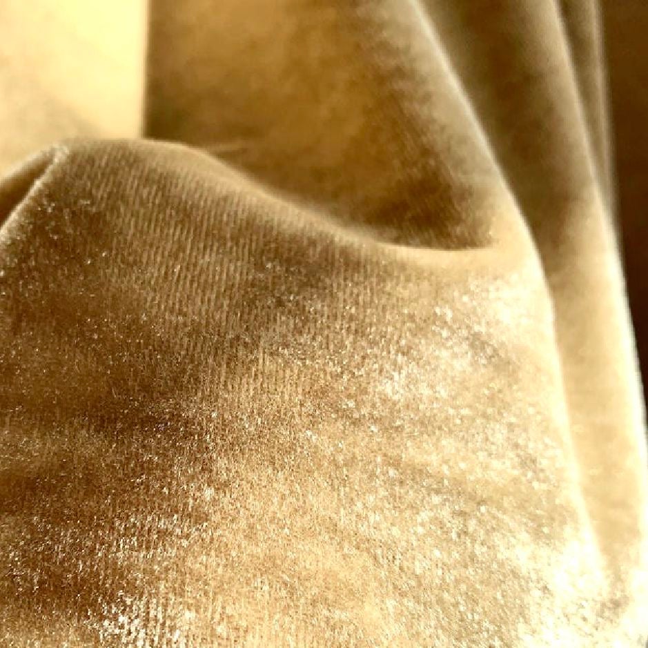 Royal silk velvet, golden tan, cream beige, made in Italy. This listing is for 6-3/8 yards by 54 inches wide of this exceptional quality velvet. Decadent 100. Percent silk velvet in solid color of barley to creamy beige. Scrumptious feel, vibrant