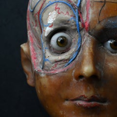 Early 20th Century Wax Anatomical Medical Head Model