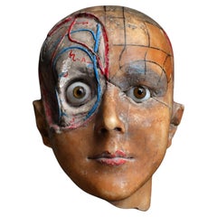 Early 20th Century Wax Anatomical Medical Head Model