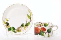 Haviland Limoges Porcelain Cup & Saucer Factory Hand Painted 1882-1891