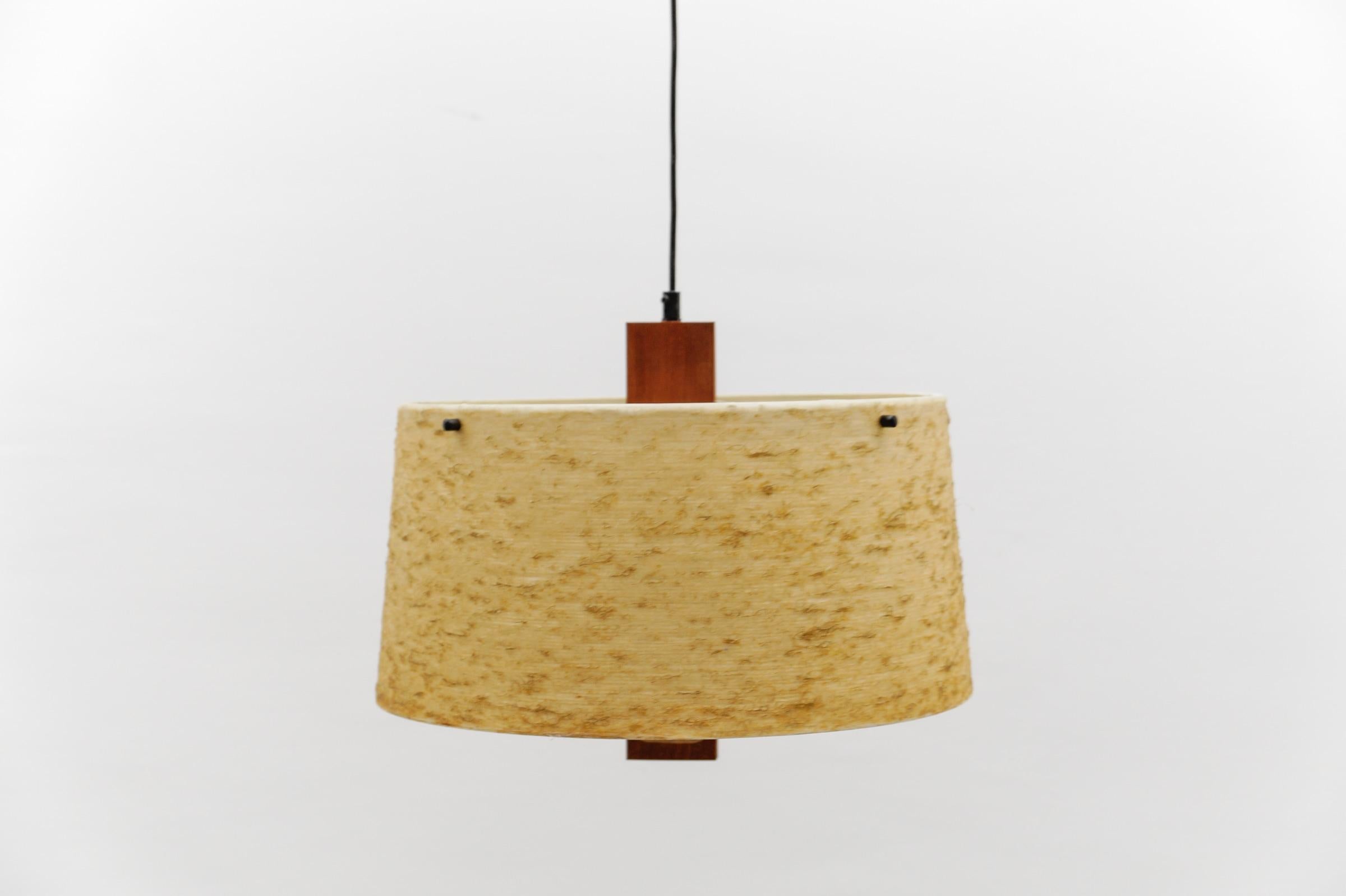 Graziosa lampada da soffitto in teak e fibra di vetro di Temde Swiss, anni '60 In condizioni buone in vendita a Nürnberg, Bayern