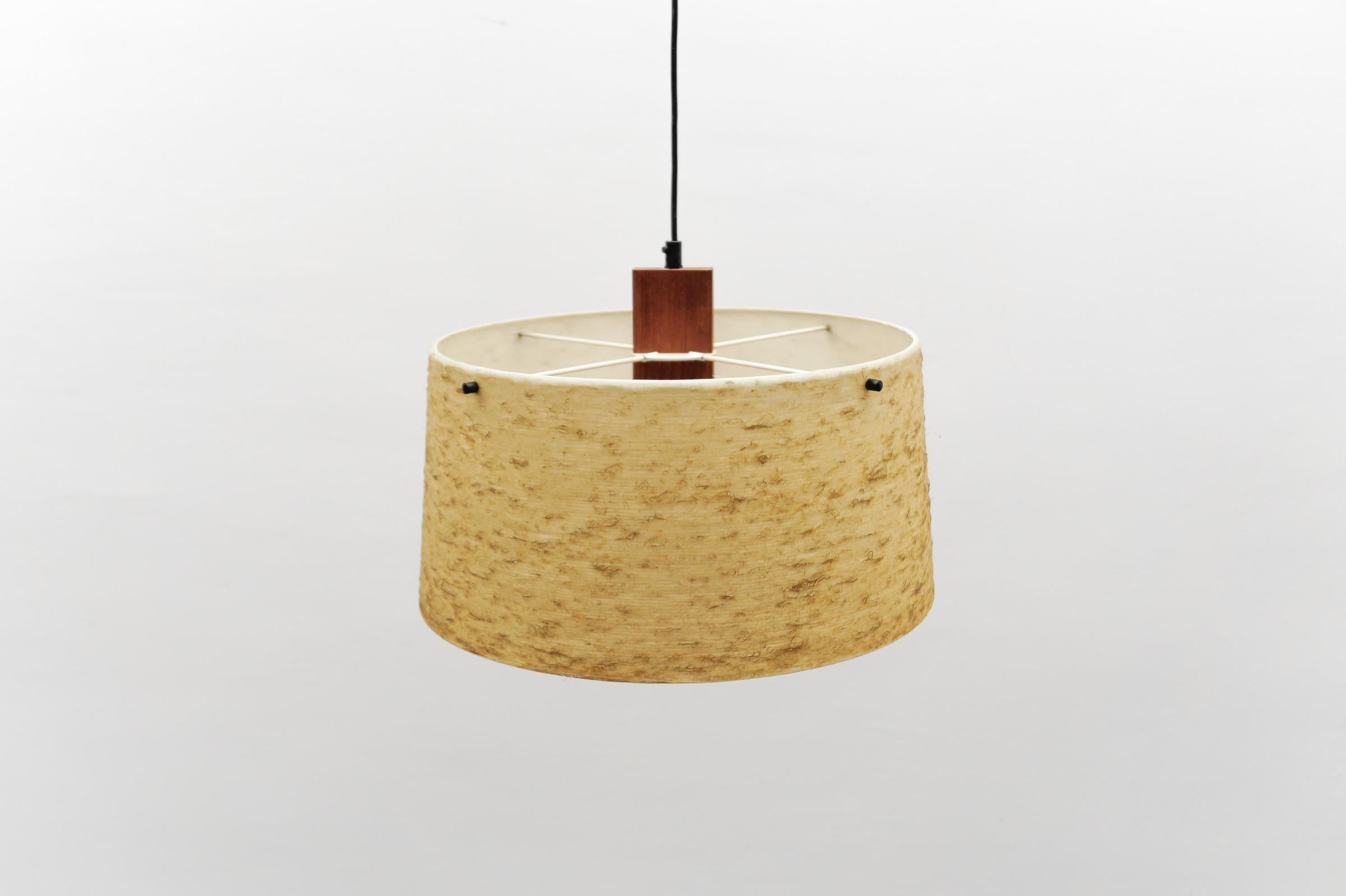 Graziosa lampada da soffitto in teak e fibra di vetro di Temde Swiss, anni '60 in vendita 1