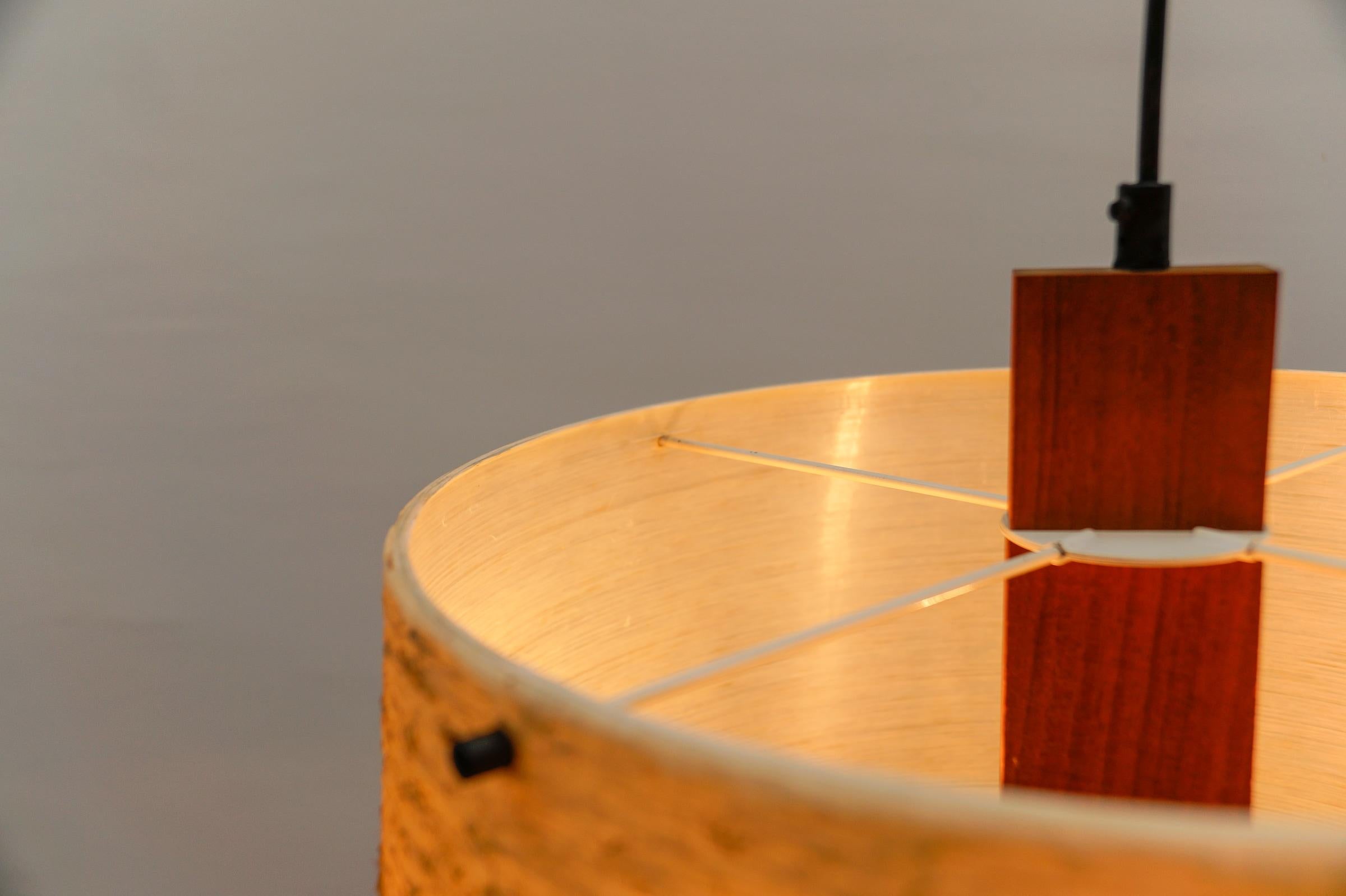 Graziosa lampada da soffitto in teak e fibra di vetro di Temde Swiss, anni '60 in vendita 6
