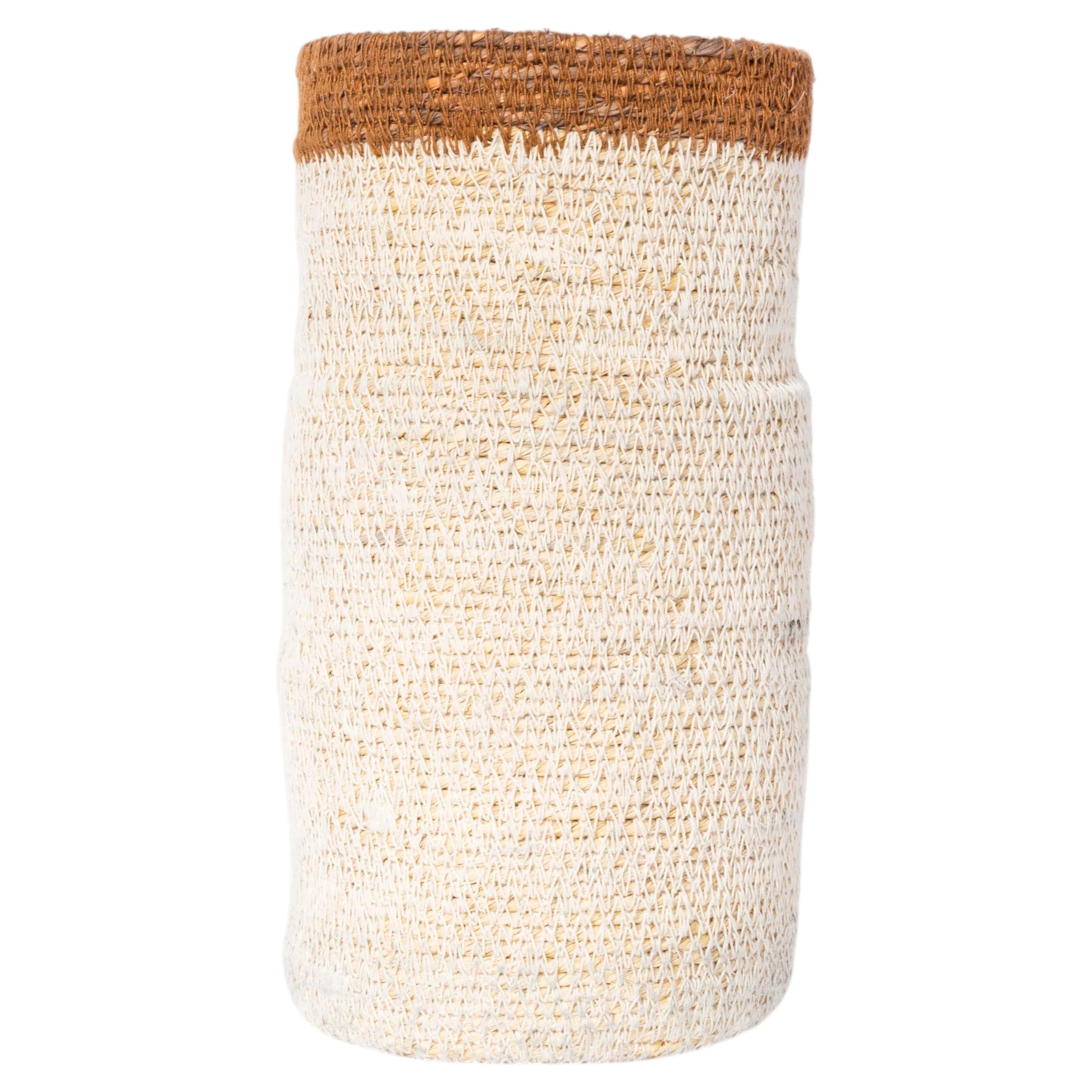 Contemporary Chalk Tapered Drum Basket - Water Hyacinth