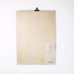 1960's Lizard Anatomy Educational Poster