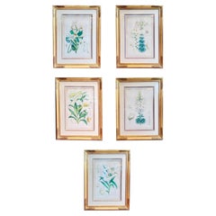 Prints