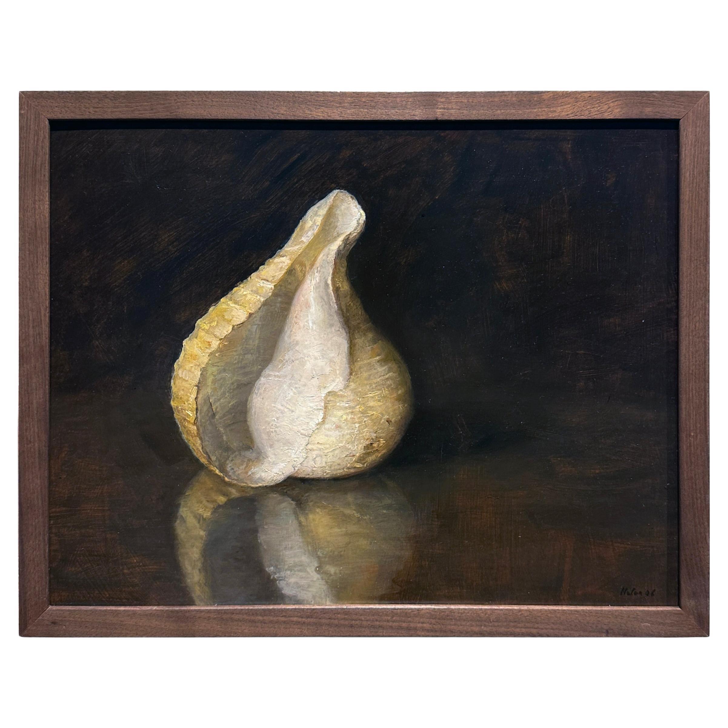 Bubble Turnip Shell, Rapa Rapa Sea Shell Fossil on Mahogany Table, Oil on Panel