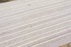 Vintage Turkish Kilim Exotic Yarn Rug with Ivory Stripes by Rug&Kilim, 1950-1959