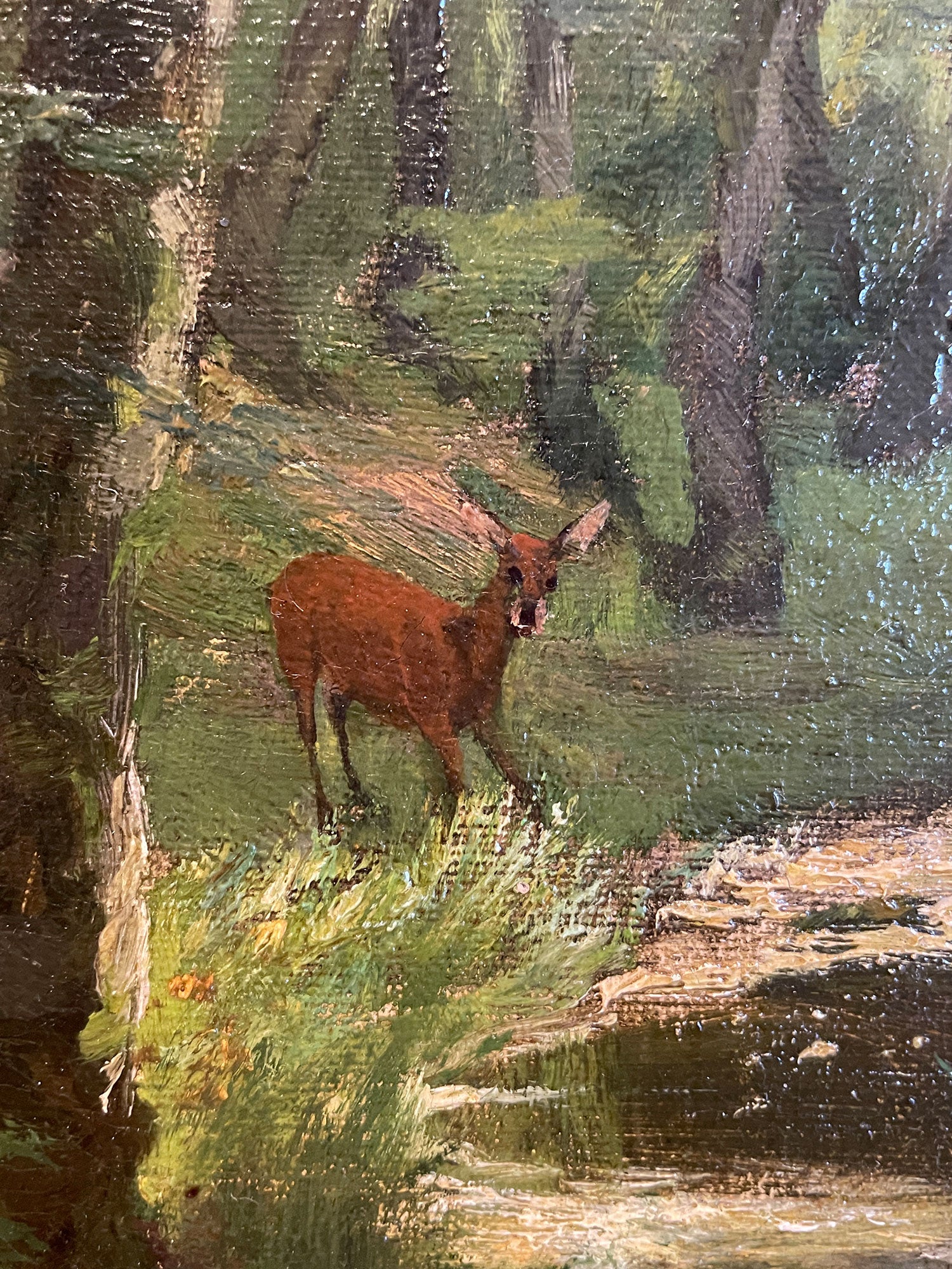 Roe Deer in the Woods Painting by Arthur Thiele