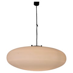 Metal Chandeliers and Pendants