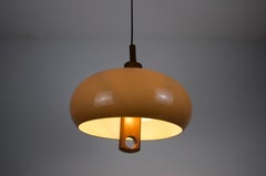 Acrylic Glass and Teak Pendant Lamp by Temde, Switzerland, 1970s