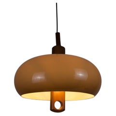 Acrylic Glass and Teak Pendant Lamp by Temde, Switzerland, 1970s