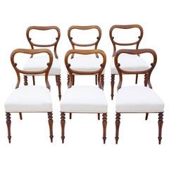 Dining Room Chairs