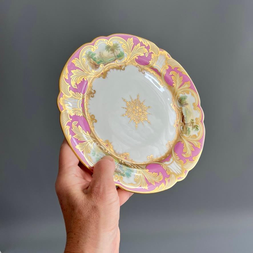 Se trata de un hermoso plato en forma de 8 lóbulos, con fondo rosa intenso y rica decoración de acantos y conchas en amarillo pálido y dorado, tres reservas en forma de volutas con paisajes excepcionalmente finamente pintados con bosques, lagos y