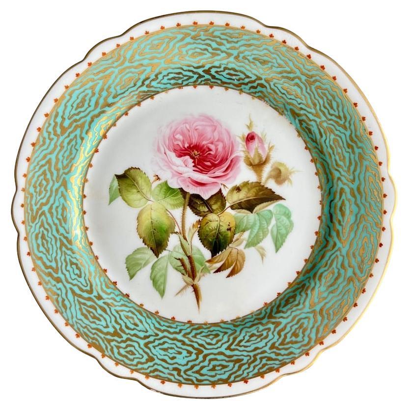 Plato de Samuel Alcock, verde agua del Nilo, dorado, rosa musgo, ca. 1850