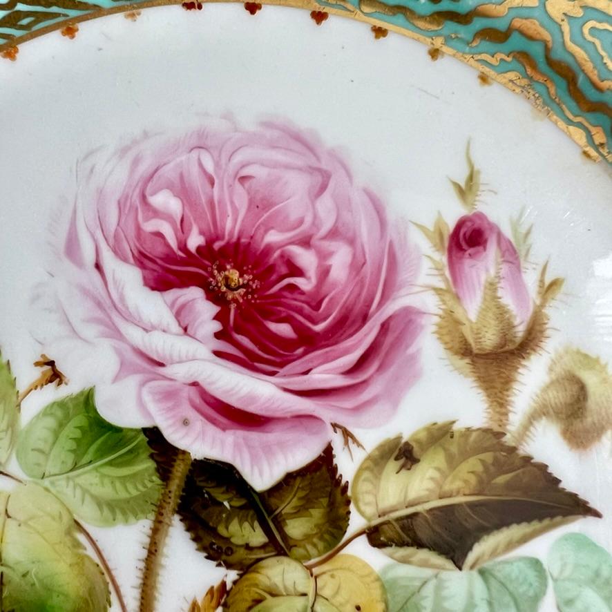 English Samuel Alcock Plate, Eau de Nile Green, Gilt, Pink Moss Rose, ca 1850