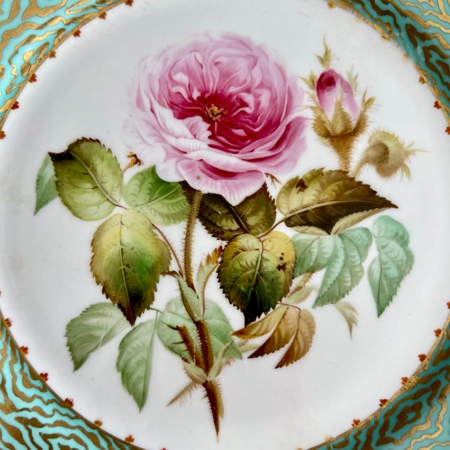 Rococo Revival Samuel Alcock Plate, Eau de Nile Green, Gilt, Pink Moss Rose, ca 1850