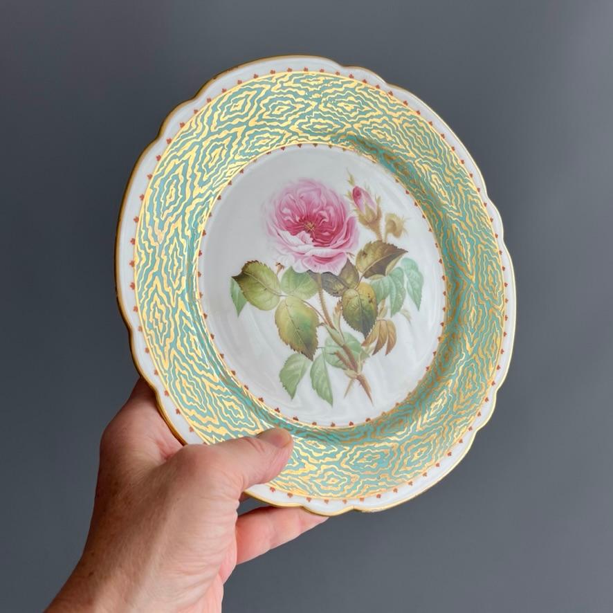This is an elegant dessert plate in the 8-lobed shape, with an eau de nile green ground and a gilt wave design, and a stunning named pink Moss Rose in the centre, with realistically painted wet-looking foliage with blemishes and tiny insects. The