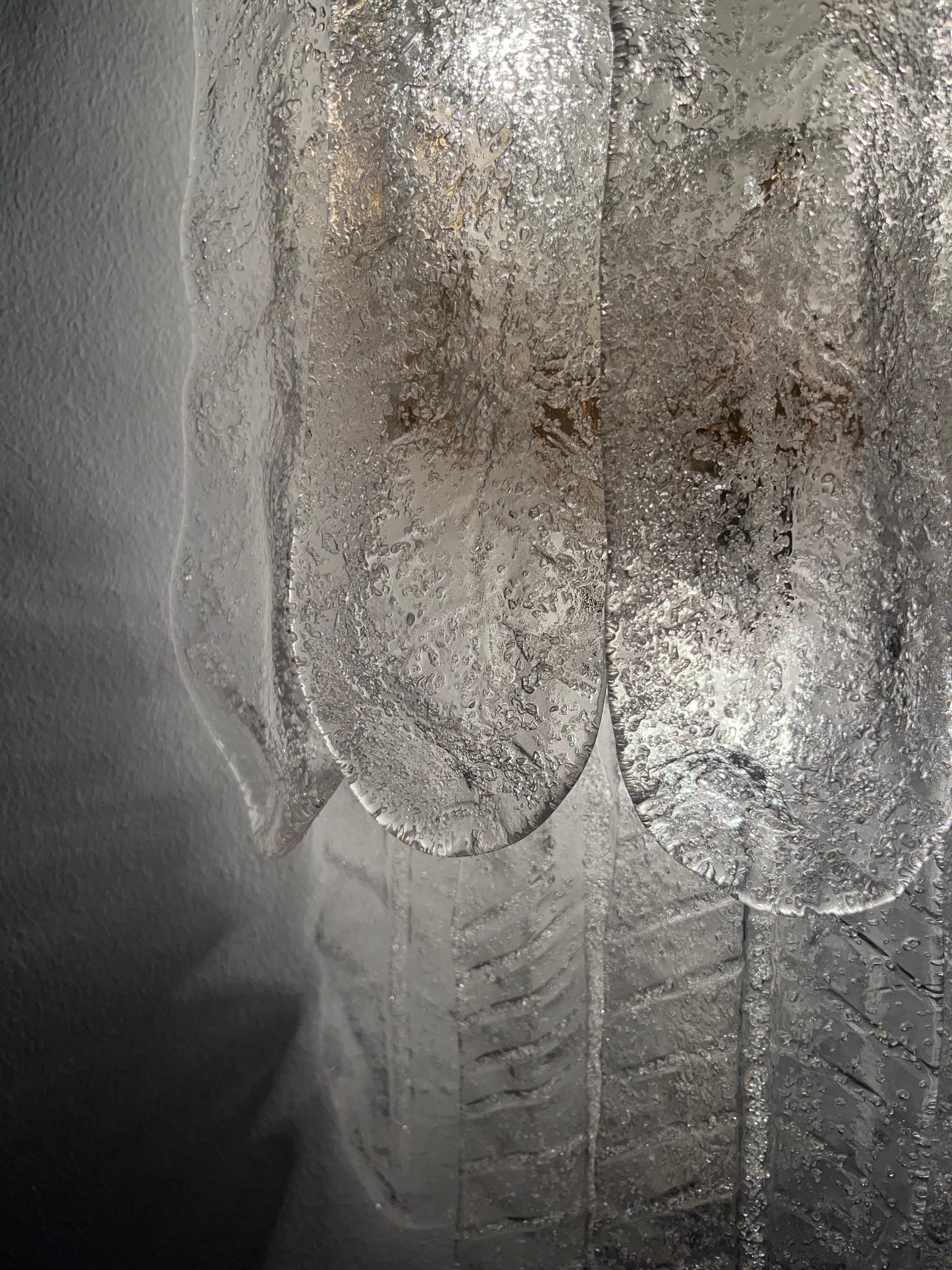Italian Midcentury Long Large Leaf Clear Murano Wall Sconce by Mazzega, 1970s 1
