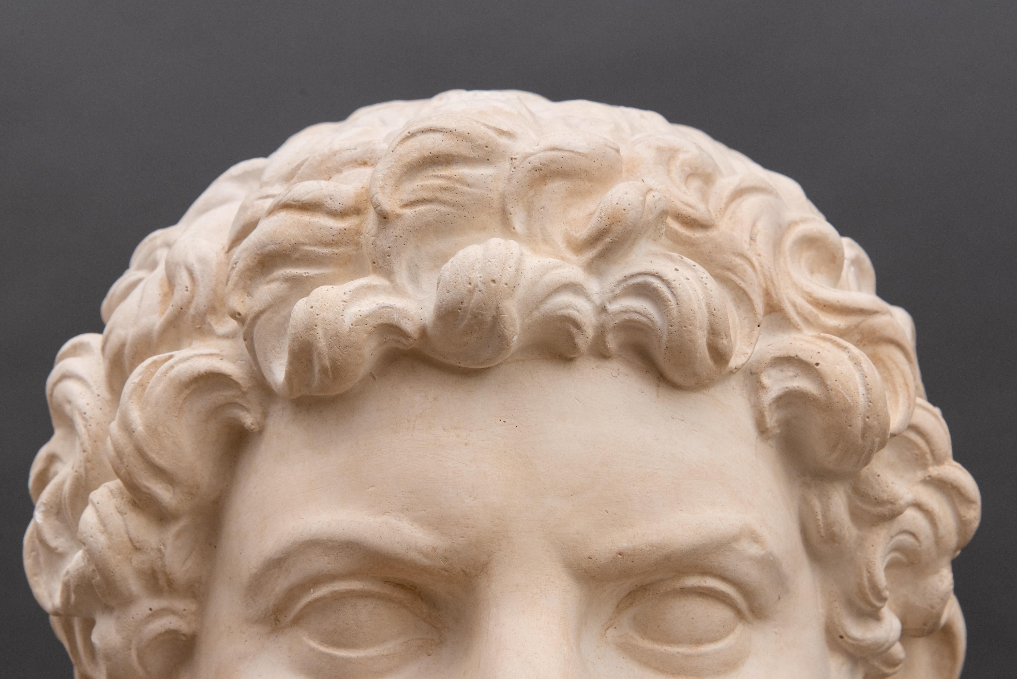 Mid-19th Century White Italian Neoclassical Plaster Bust Hadrian, 1860 8