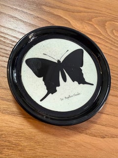 Italian Contemporary "Black and Wild" Butterfly Resin Coasters Set of 4