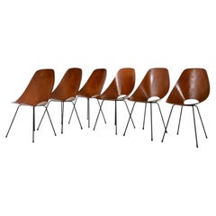 "Medea" Chairs by Vittorio Nobili for Frattelli Tagliabue, 1950s, set of 6