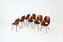 "Medea" Chairs by Vittorio Nobili for Frattelli Tagliabue, 1950s, set of 6