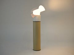 Mezzo Pileo floor lamp by Gae Aulenti for Artemide, 1970s