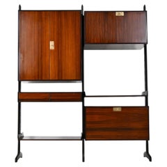 Italian Wall Unit by Vittorio Dassi for Dassi, 1950s
