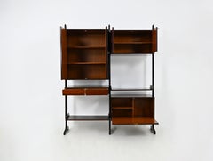 Italian Wall Unit by Vittorio Dassi for Dassi, 1950s