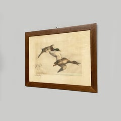 Italian framed lithographic print of ducks with a wooden frame, 1960s