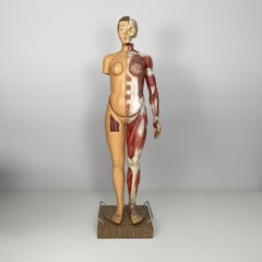 Italian anatomical mannequin, 1960s