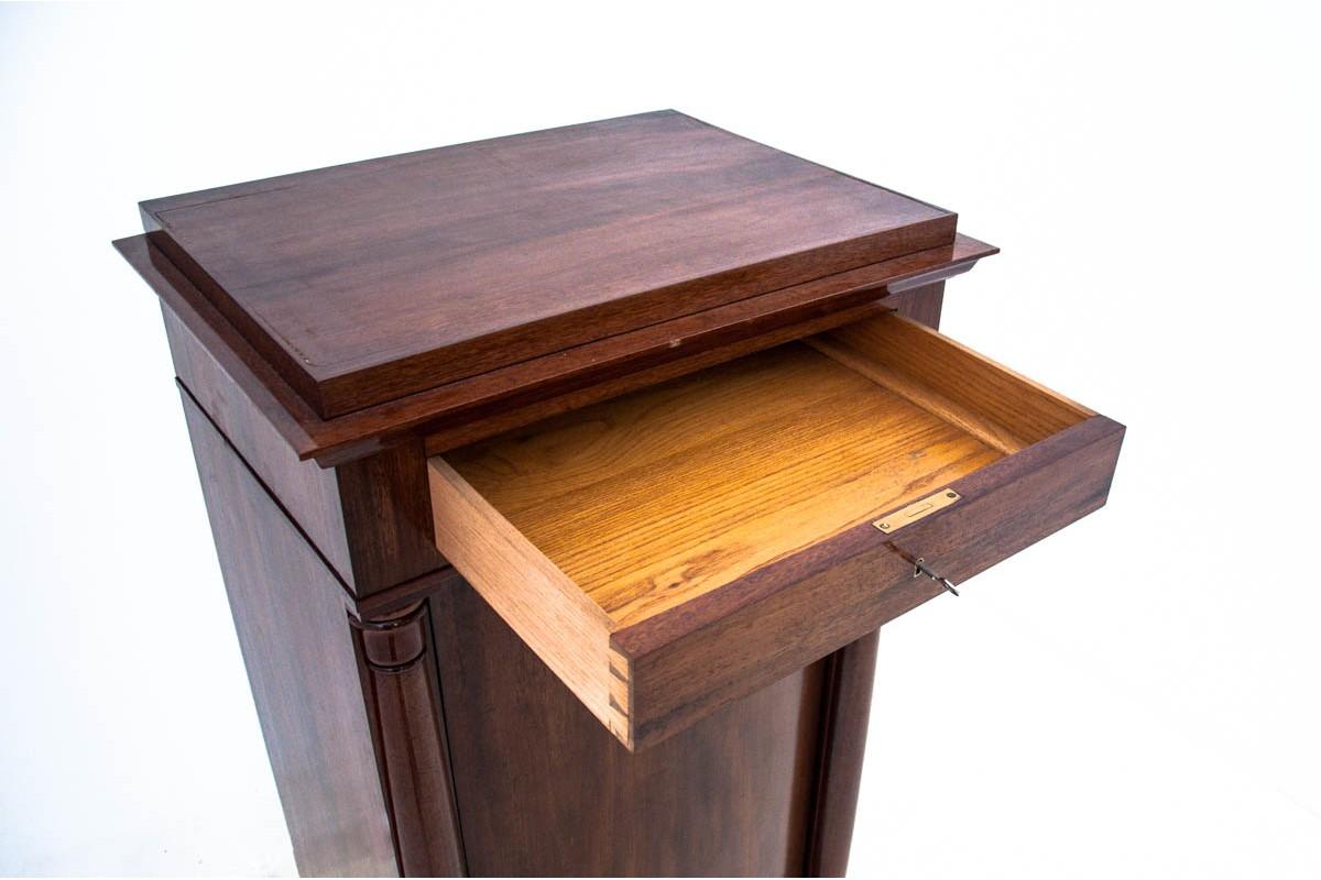 Scandinavo Cassettiera antica, Europa del Nord, circa 1860. in vendita